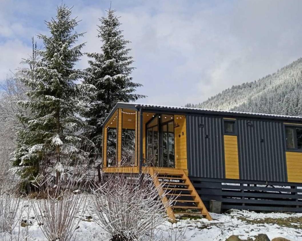 Apartmán Мріяти Krivorovnya Exteriér fotografie